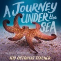 A Journey Under the Sea, book cover