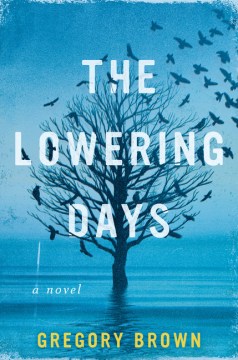 The lowering days : a novel / Gregory Brown.