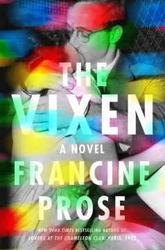 The vixen : a novel / Francine Prose.