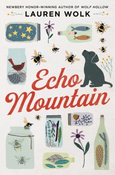 Echo Mountain / Lauren Wolk.