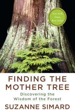 Finding the mother tree : discovering the wisdom of the forest / Suzanne Simard.