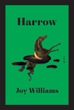 Harrow : a novel / Joy Williams.