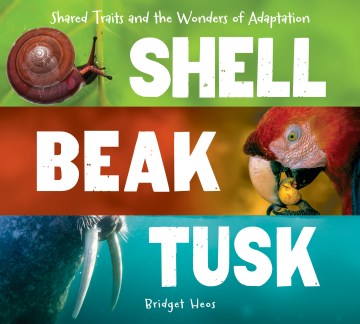Shell, beak, tusk : shared traits and the wonders of adaptation / by Bridget Heos