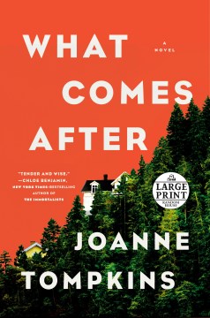 What comes after / JoAnne Tompkins.