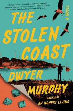 The stolen coast / Dwyer Murphy