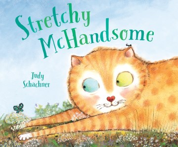 Stretchy McHandsome / Judy Schachner.