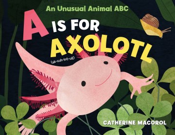A is for axolotl : an unusual animal ABC / Catherine Macorol