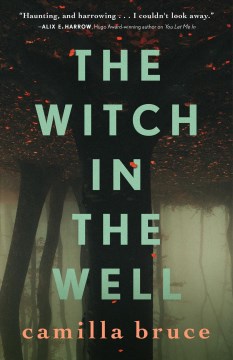 The witch in the well / Camilla Bruce