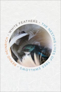White feathers : the nesting lives of tree swallows / Bernd Heinrich.