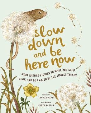 Slow down and be here now / written by Laura Brand   illustrated by Freya Hartas
