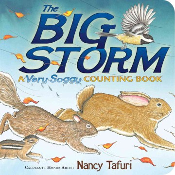 The big storm : a very soggy counting book / Nancy Tafuri.