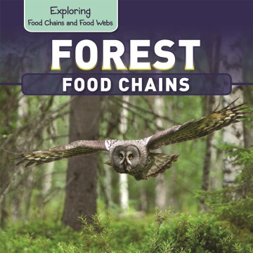 Forest food chains / Katie Kawa.