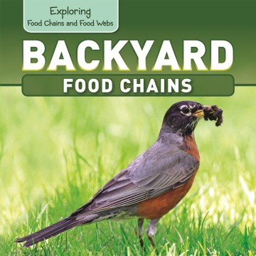 Backyard food chains / Katie Kawa.