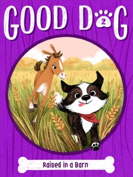 Good dog. 2, Raised in a barn / by Cam Higgins   illustrated by Ariel Landy