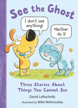 See the ghost : three stories about things you cannot see / David LaRochelle   illustrated by MikeWohnoutka