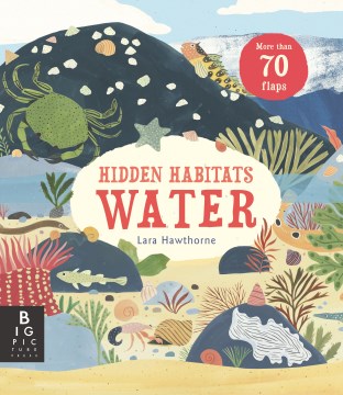 Hidden habitats : water / Lara Hawthorne [illustrator] ; [text by Lily Murray].