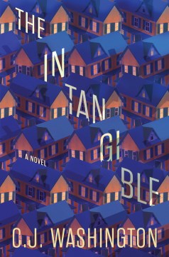 The intangible : a novel / C. J. Washington.