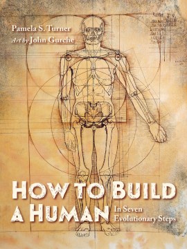 How to build a human : in seven evolutionary steps / Pamela S. Turner   art by John Anthony Gurche