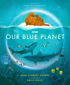 Our blue planet / Leisa Stewart-Sharpe   illustrated by Emily Dove