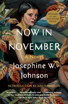 Now in November : a novel / Josephine W. Johnson   introduction by Ash Davidson.