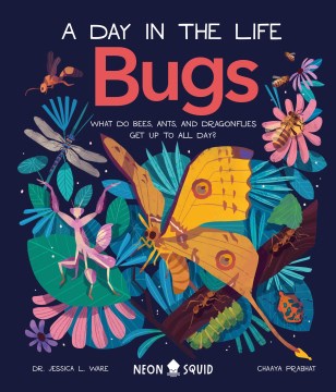 Bugs : what do bees, ants, and dragonflies get up to all day? / Dr. Jessica L. Ware   illustrator Chaaya Prabhat.