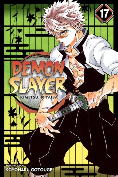 Demon slayer. Volume 17, Successors / story and art by Koyoharu Gotouge ; translation, John Werry ; English adaptation, Stan! ; touch-up art & lettering, Evan Waldinger.