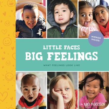 Little faces big feelings : what emotions look like / by Amy Morrison