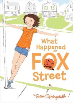 What Happened On Fox Street by Springstubb, Tricia