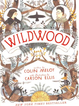 Wildwood by Meloy, Colin