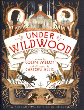 Under Wildwood by Meloy, Colin