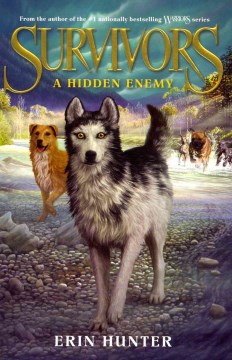 A Hidden Enemy by Hunter, Erin