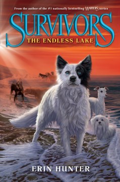 The Endless Lake by Hunter, Erin