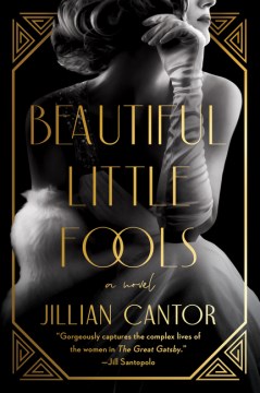 Beautiful Little Fools : A Novel by Cantor, Jillian
