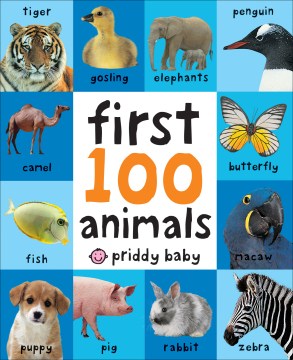 First 100 animals : board book