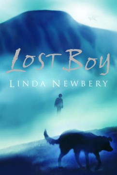 Lost Boy by Newbery, Linda