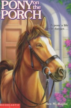 Pony On the Porch by Baglio, Ben M