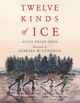 Twelve Kinds of Ice by Obed, Ellen Bryan