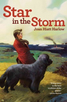 Star In the Storm by Harlow, Joan Hiatt