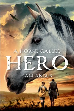 A Horse Called Hero by Angus, Sam