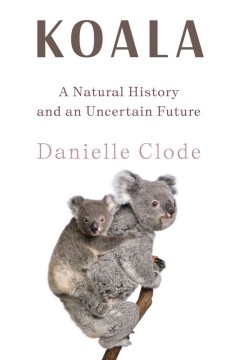 Koala : A Natural History and An Uncertain Future by Clode, Danielle