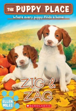 Zig & Zag by Miles, Ellen