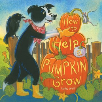 How to help a pumpkin grow