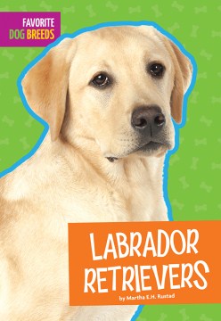 Labrador retrievers