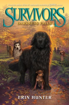 Darkness Falls by Hunter, Erin