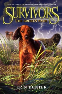 The Broken Path by Hunter, Erin