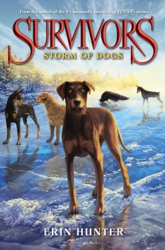 Storm of Dogs by Hunter, Erin