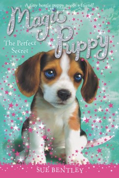 The Perfect Secret by Bentley, Sue