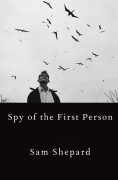 Spy of the first person