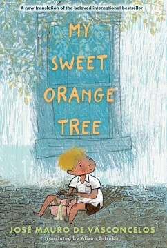 My Sweet Orange Tree : the Story of A Little Boy Who Discovered Pain by Vasconcelos, José Mauro De