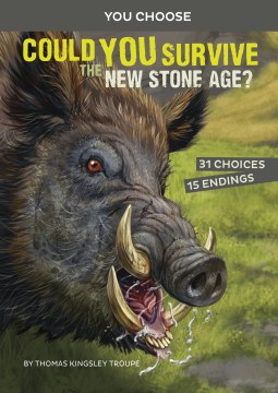 Could You Survive the New Stone Age? : An Interactive Prehistoric Adventure by Troupe, Thomas Kingsley